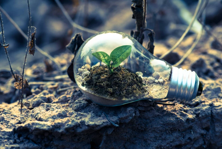 aarde-lamp-groen-plan-verduurzaming-verduurzamen-grond-natuur-idee